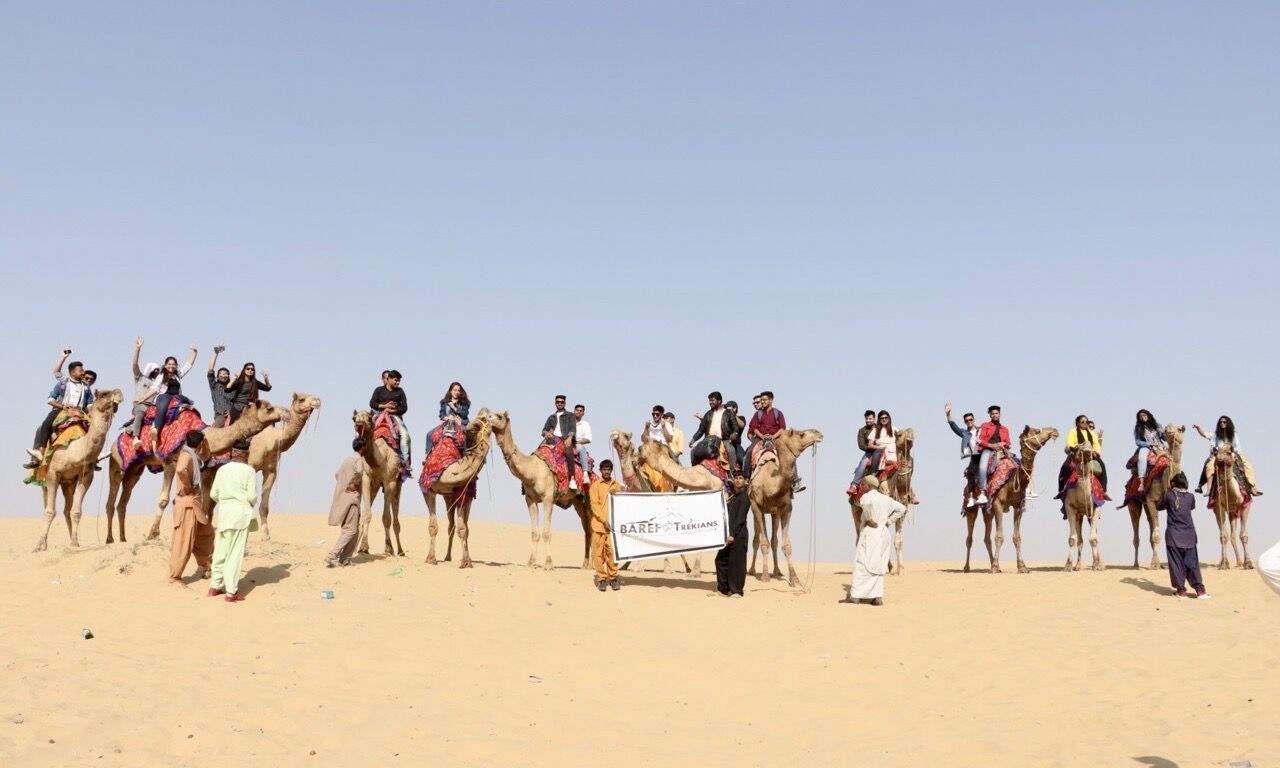 Group celebrating at a summit