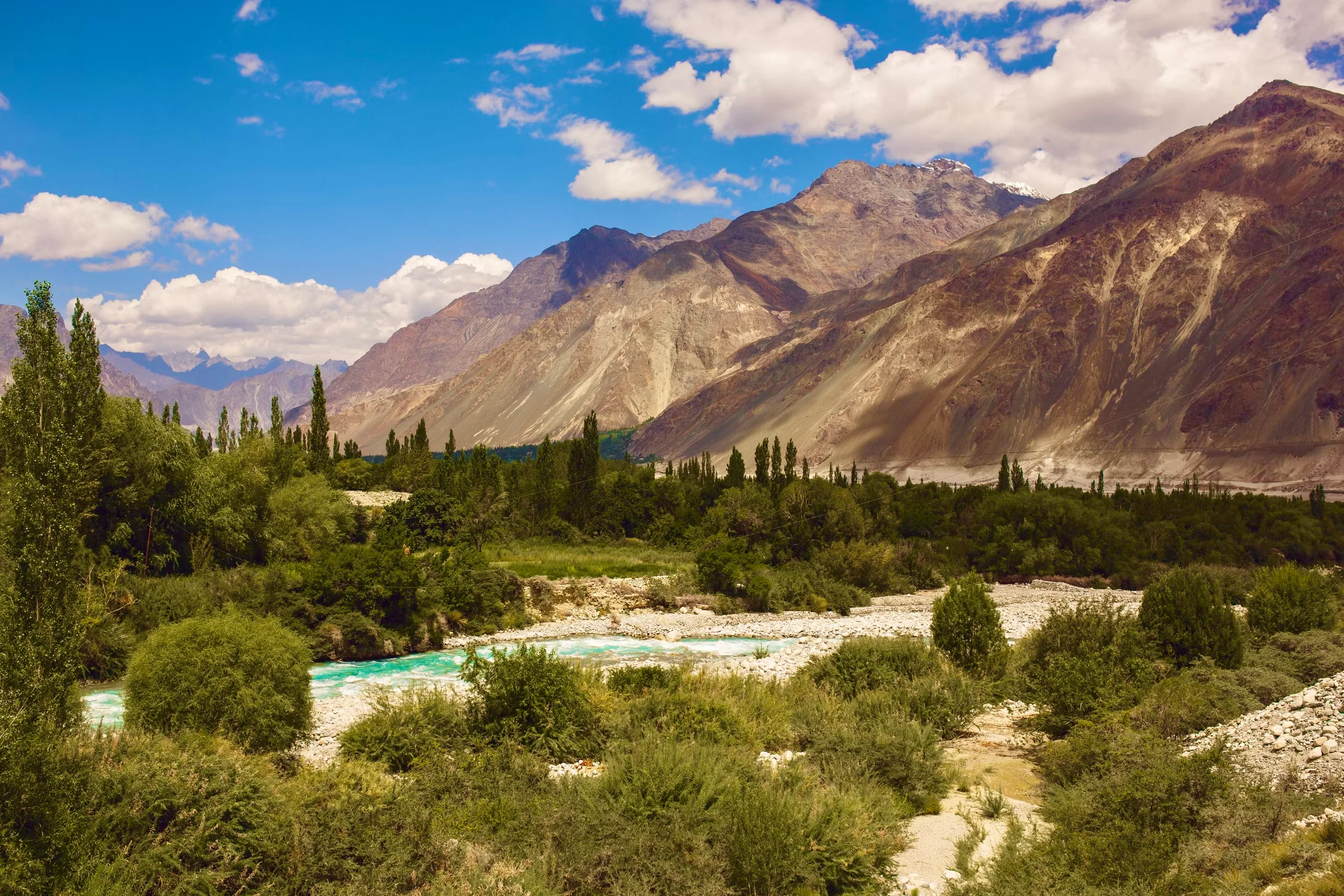 Leh-Ladakh with Turtuk