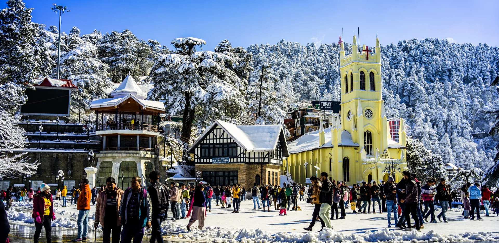 Arrival in Shimla — Day 1