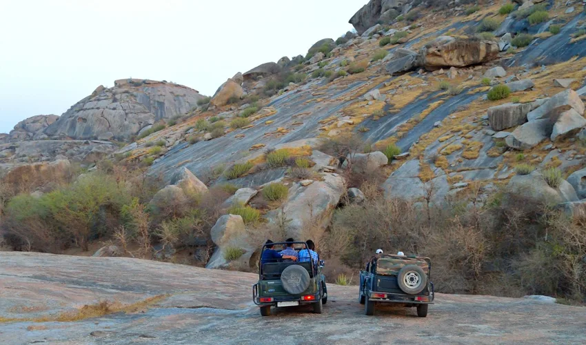 Udaipur with Jawai national park