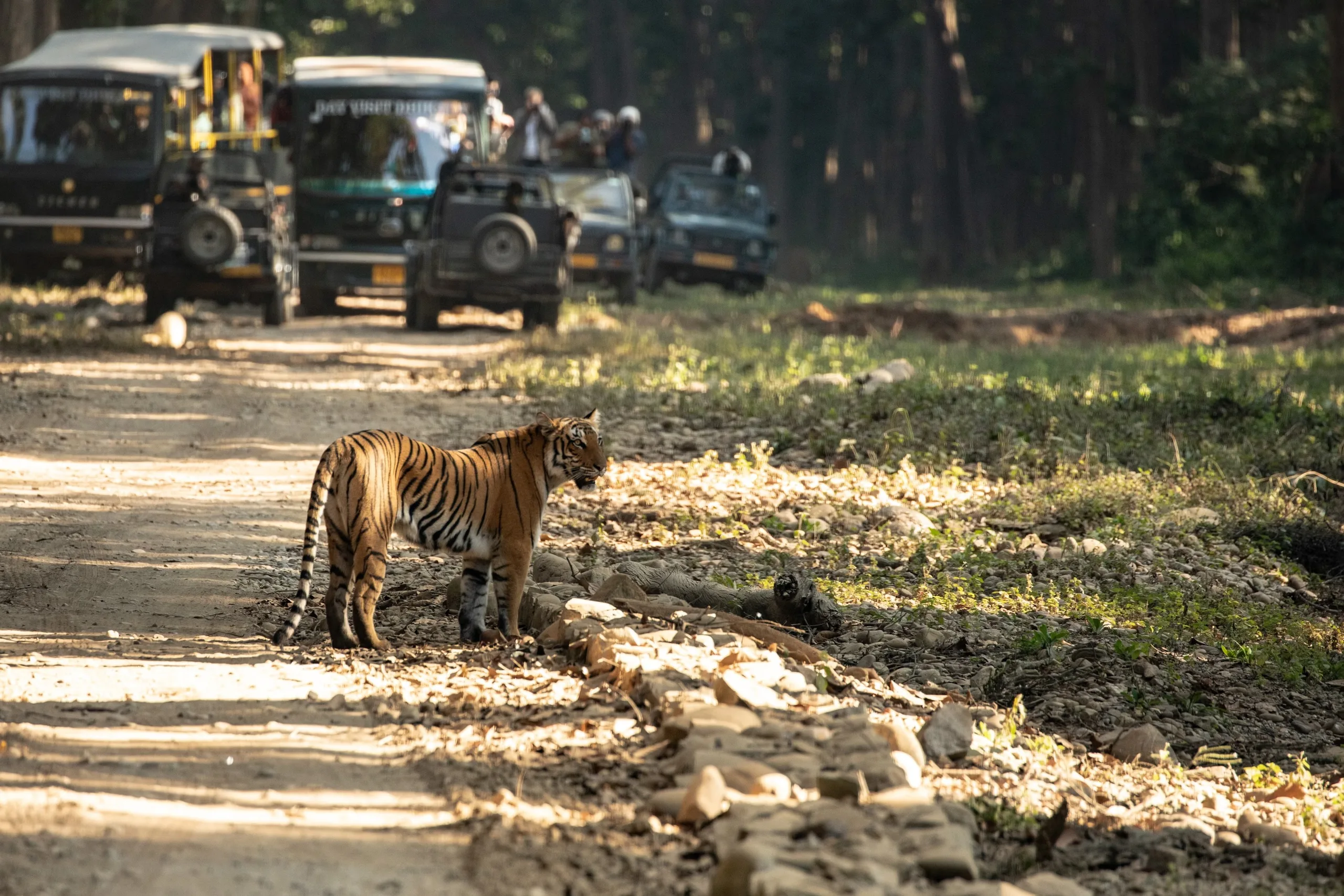 Nainital with Jim Corbett