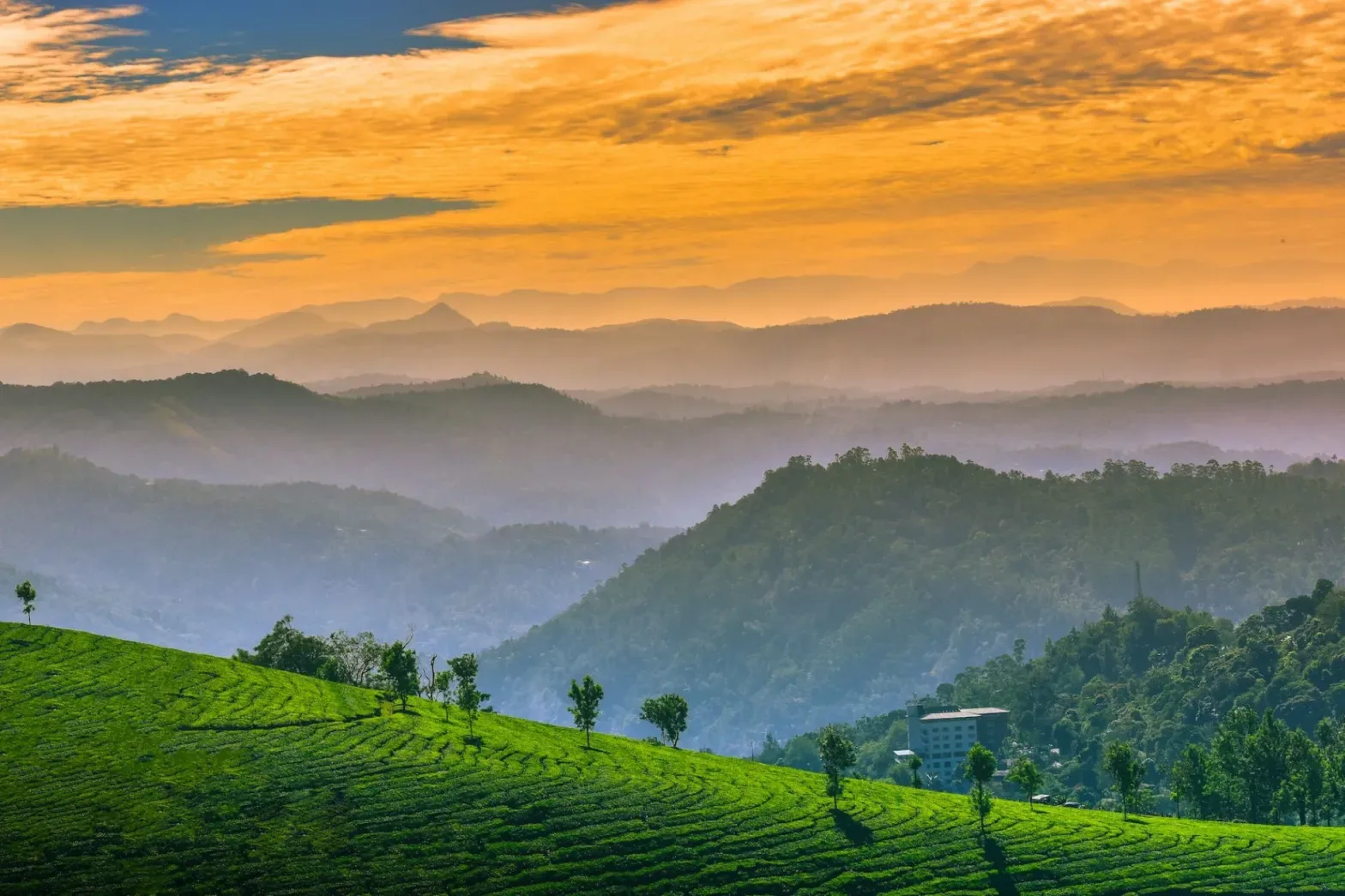 Arrival in Enchanting Munnar — Day 1
