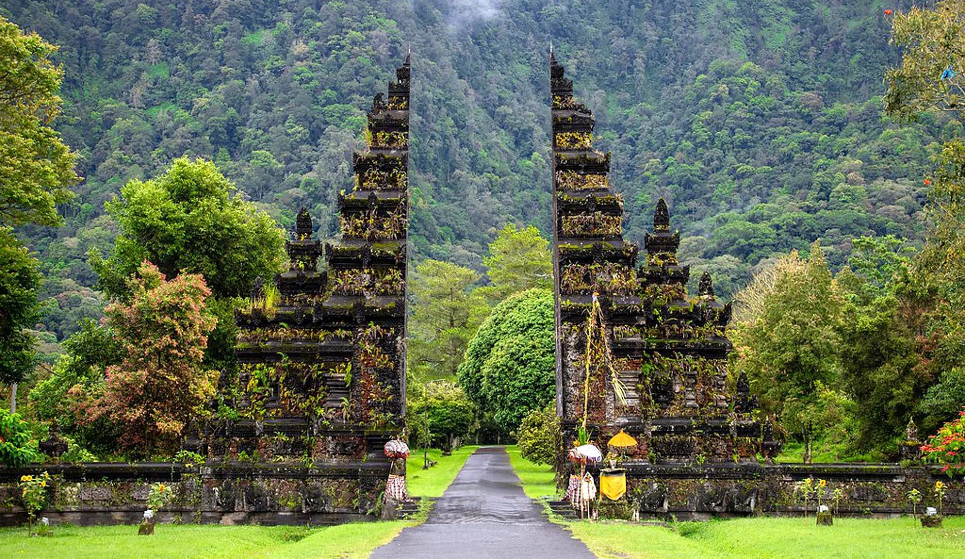The Magical Bali