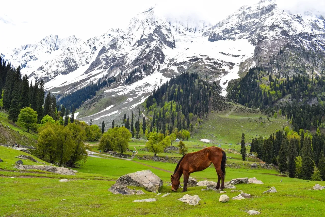 Heavenly Kashmir