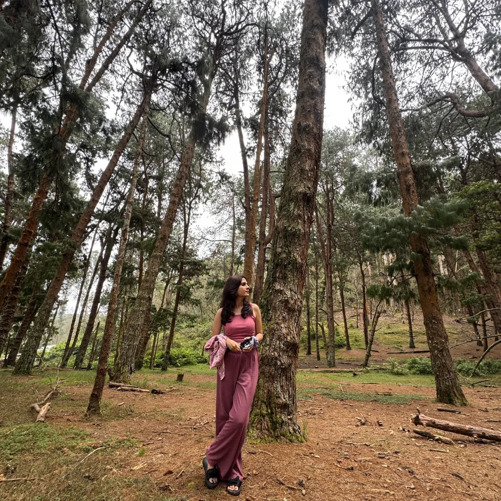 Kodaikanal Nature and Scenic Packages: Romantic Tour Packages