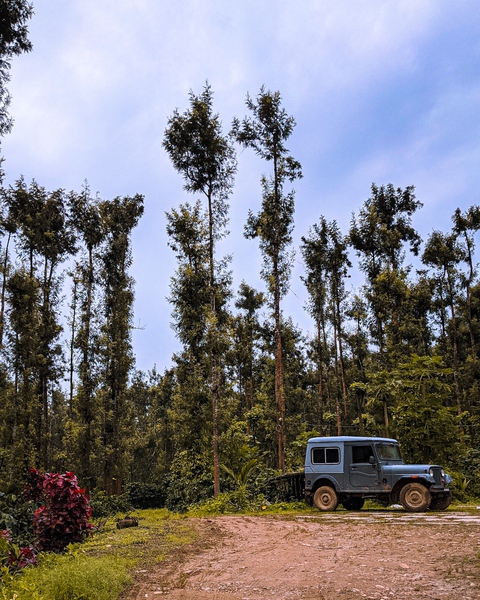 WAYANAD COORG (2NIGHTS & 3DAYS) BACKPACKING TRIP