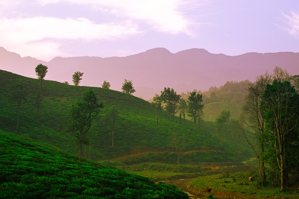 WAYANAD COORG (2NIGHTS & 3DAYS) BACKPACKING TRIP