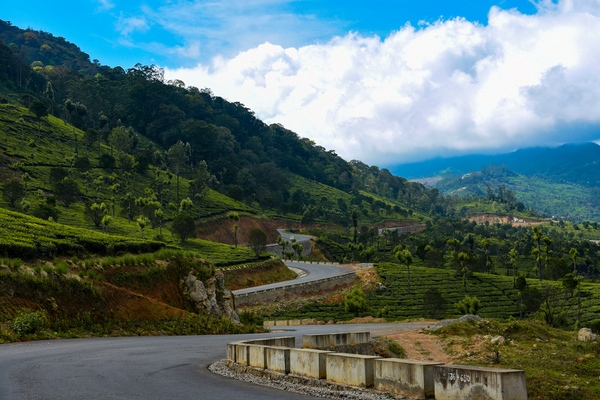 WAYANAD COORG (2NIGHTS & 3DAYS) BACKPACKING TRIP