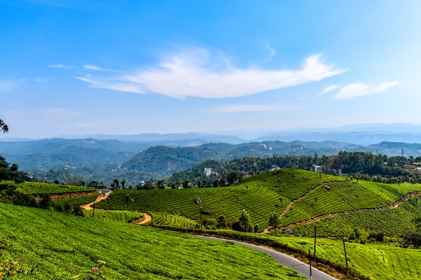 WAYANAD COORG (2NIGHTS & 3DAYS) BACKPACKING TRIP