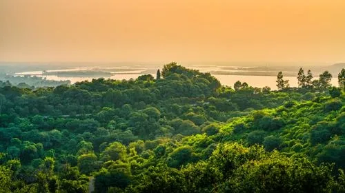 Chinnar Wildlife & Yercaud Hill Escape