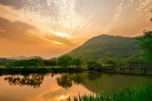 Wayand trip from Bangalore (Banasura Sagar – Meppadi Escape)