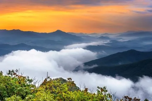 Bangalore, Mysore, Ooty and Kodaikanal Tour Package