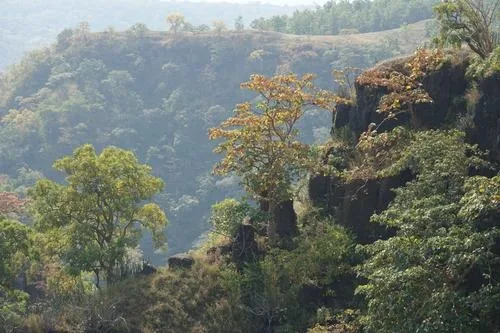 Wayanad Tour Package from Bangalore